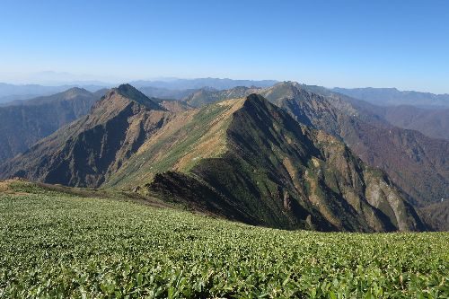 万太郎山から仙ノ倉山に続く縦走路で、素晴らしい稜線です。いつかは歩いてみたいが関西からは少し遠いか。